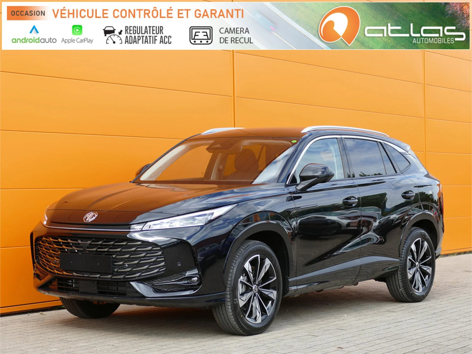 MG MOTOR EHS - Miniature 2 sur 32 - Cliquer pour voir cette photo